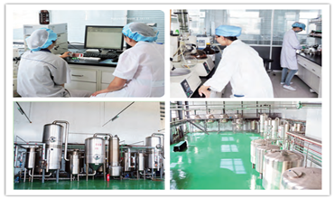 Fibra dietética solúvel dos Isomalto-Oligosaccharides do EINECS 232-554-6 4